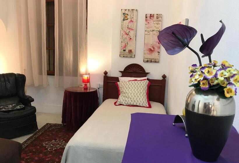 بنسيون Victorian Lodge