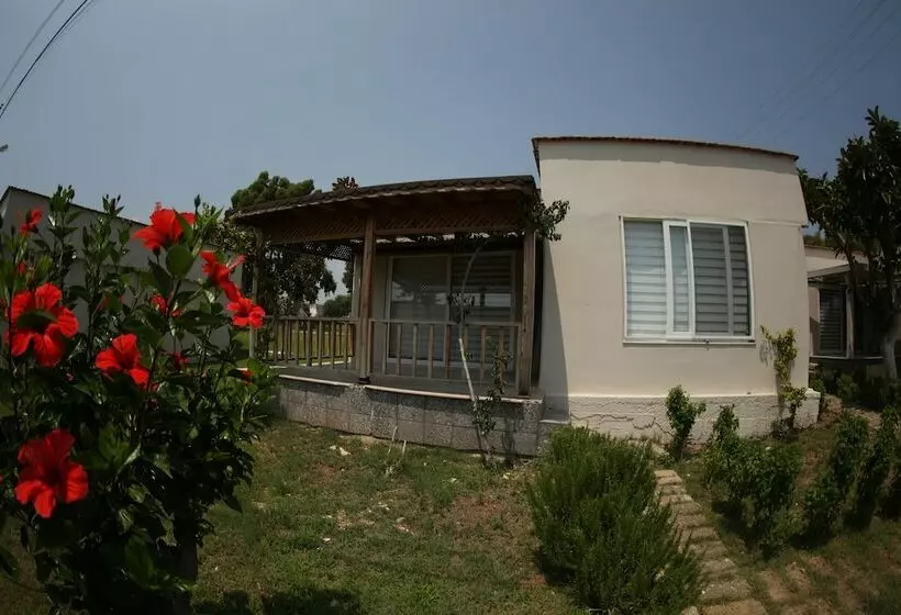 Lomakeskus Queenaba Beach