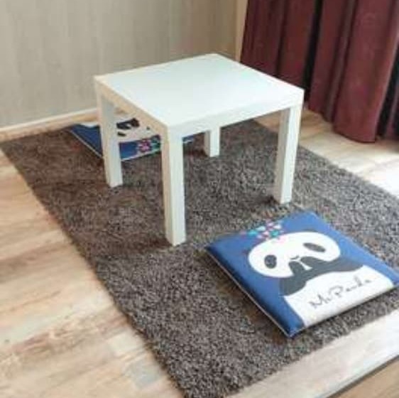 Panda Cub Hotel China West Normal University Branch