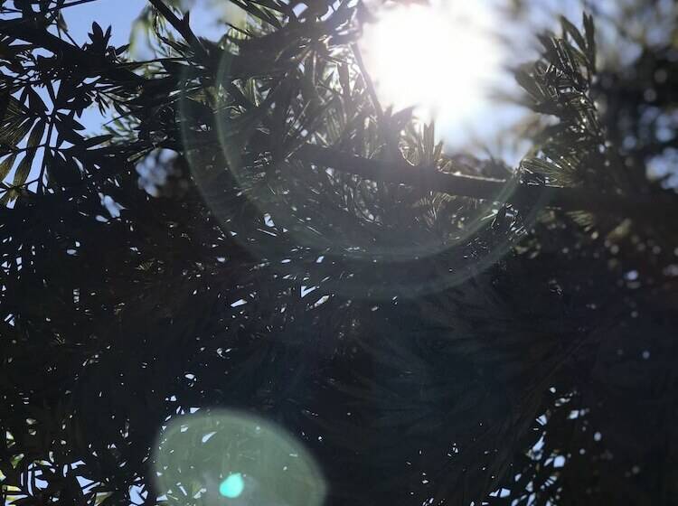 膳宿费 Bannraiphontawan