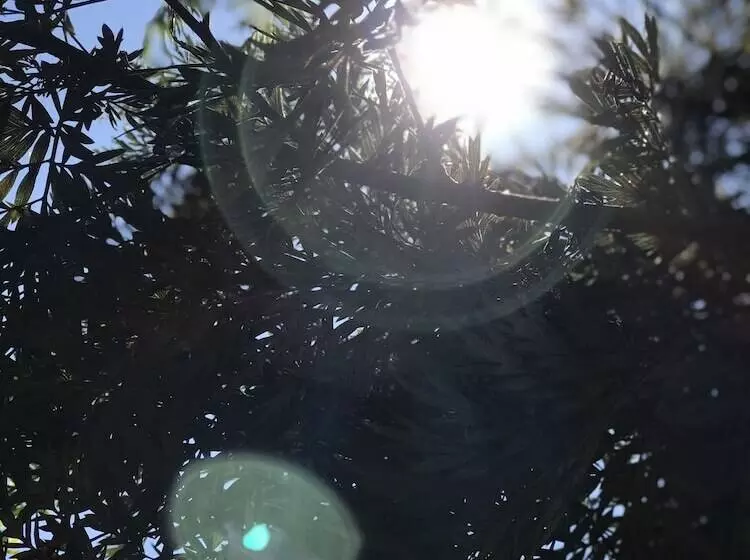 ペンション Bannraiphontawan