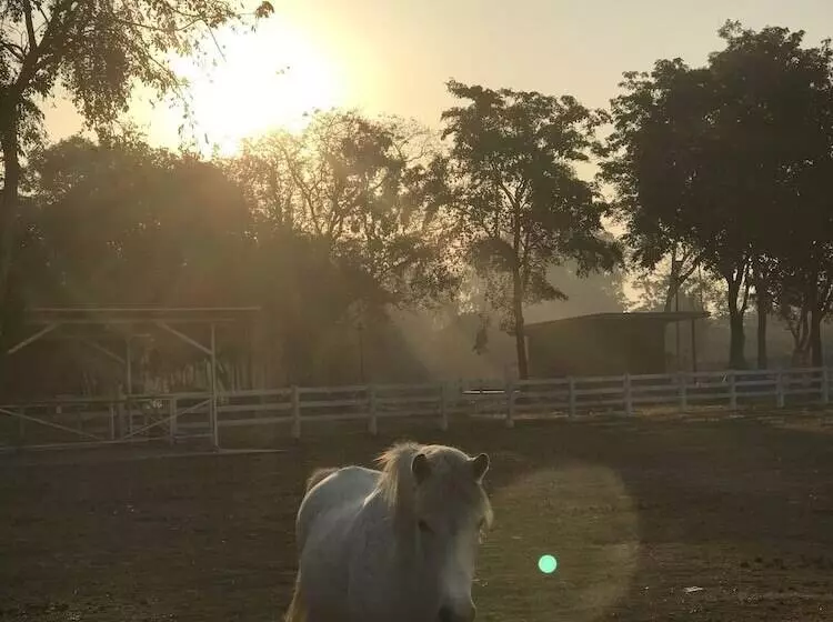 ペンション Bannraiphontawan