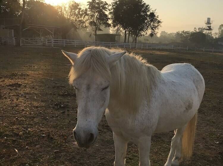 膳宿费 Bannraiphontawan