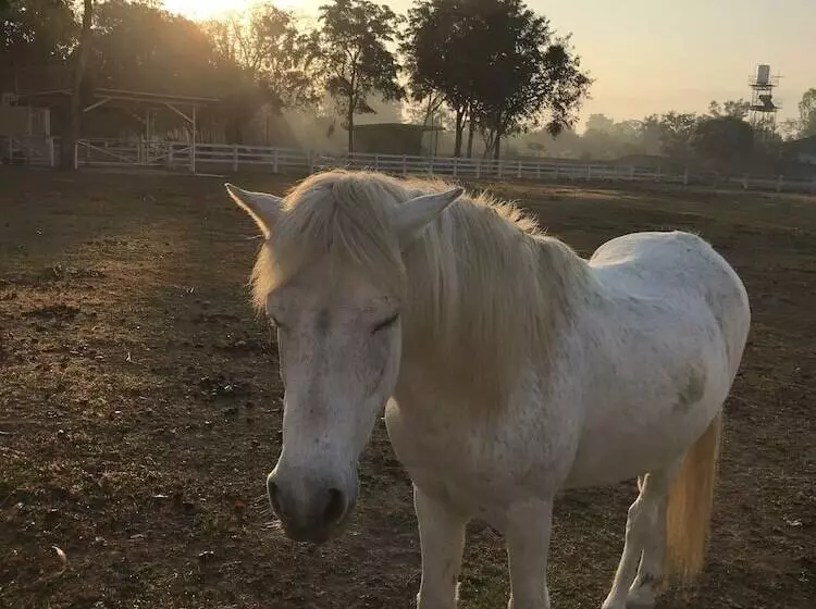 ペンション Bannraiphontawan