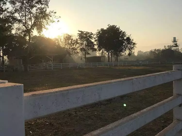 ペンション Bannraiphontawan