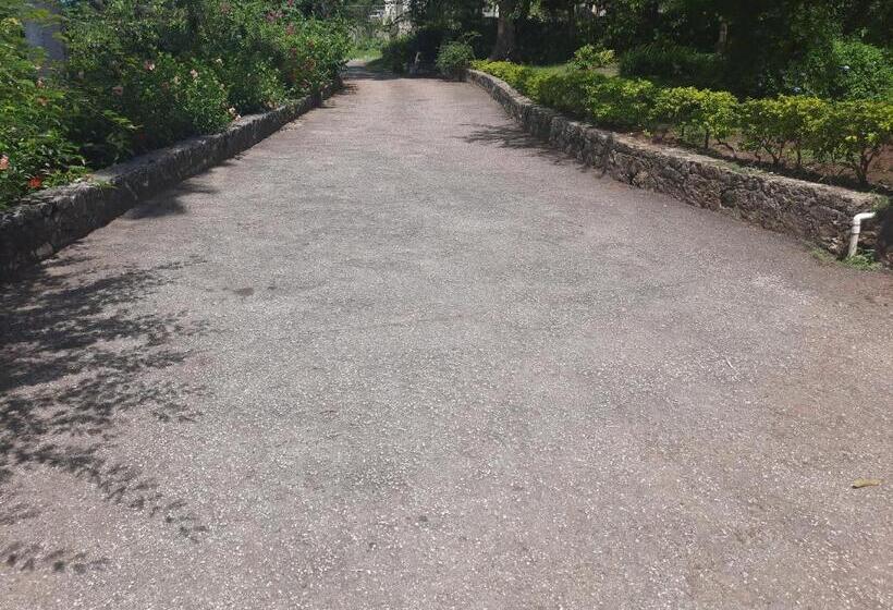 پانسیون Brandon Hill Guest House