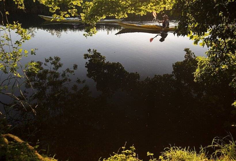 פנסיון Carrick's At Castle Farm