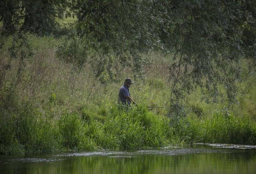 פנסיון Carrick's At Castle Farm