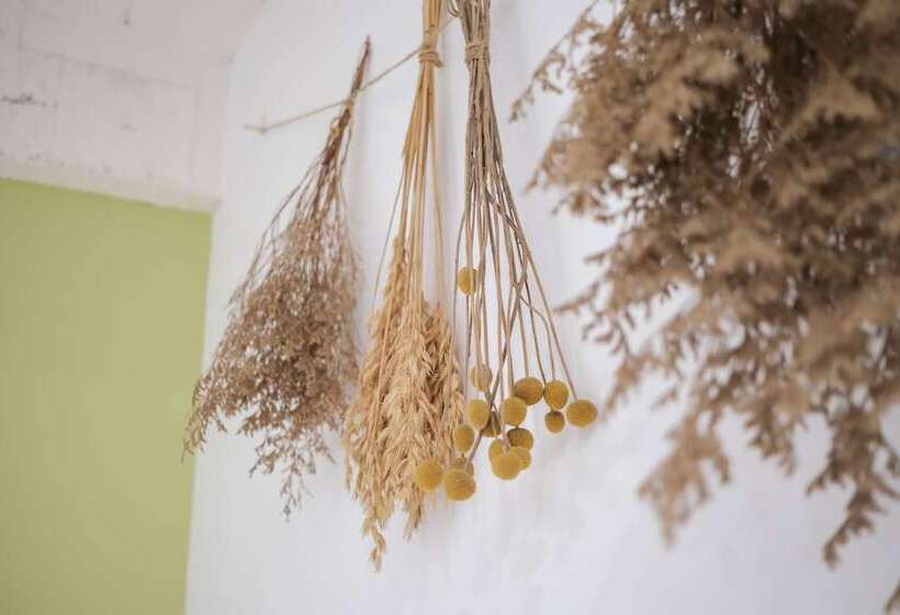 پانسیون Luke 27 Homestay