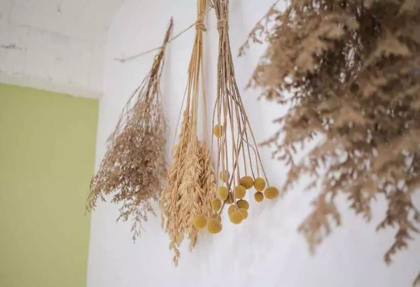 پانسیون Luke 27 Homestay