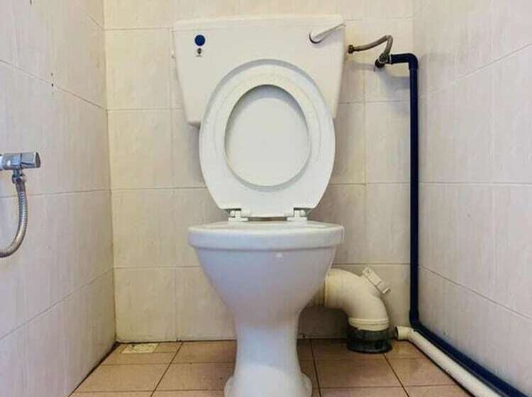 Cookoobird Home   Hostel