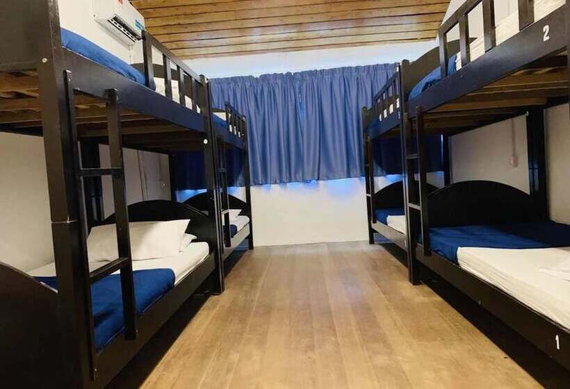 Cookoobird Home   Hostel