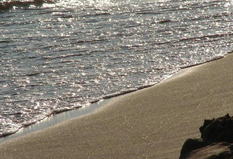 Family Studios Apart