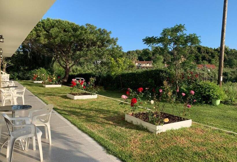 Family Studios Apart