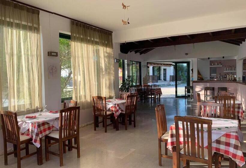 Family Studios Apart