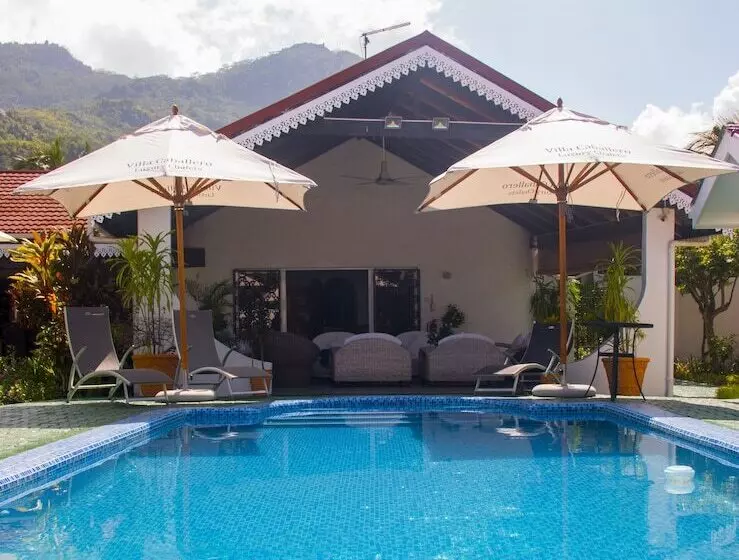 پانسیون Villa Caballero Luxury Chalets