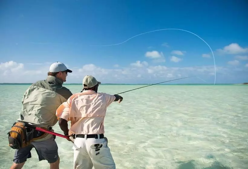 Hotel Eleven Bahama House