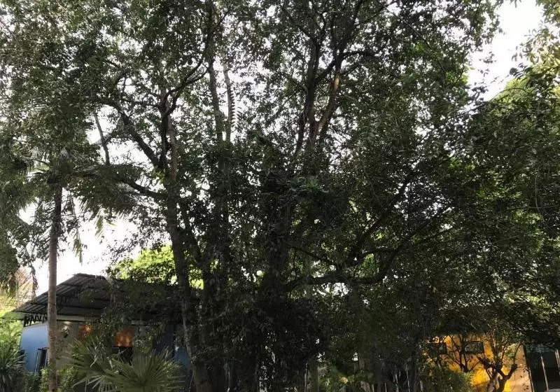 هتل The Monkey Resort Donheang