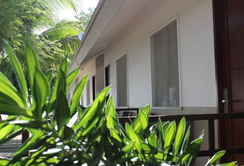 Pensjonat Anaya Beach Resort