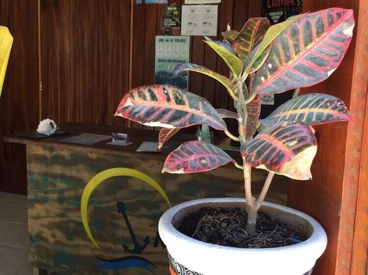 Hostal Mercy Elena   Hostel