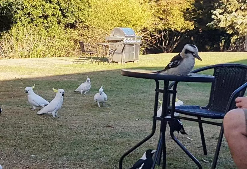 ホテル Eildon Parkview Motor Inn