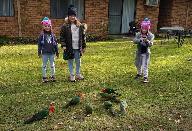 בית מלון כפרי Eildon Parkview Motor Inn