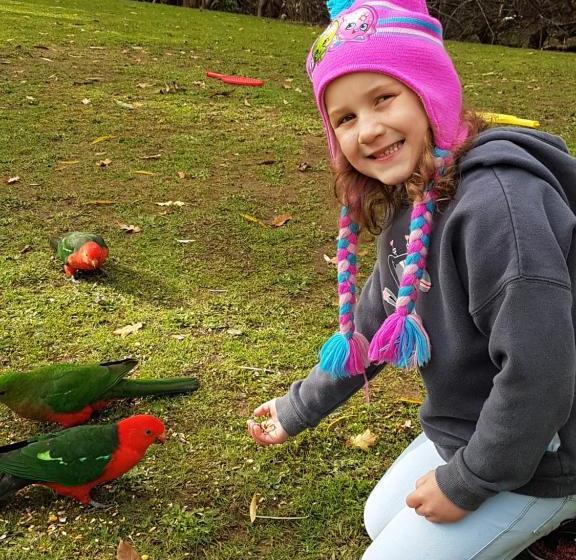 בית מלון כפרי Eildon Parkview Motor Inn