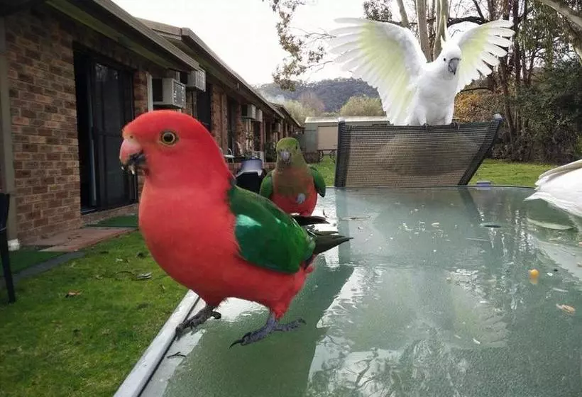 ホテル Eildon Parkview Motor Inn