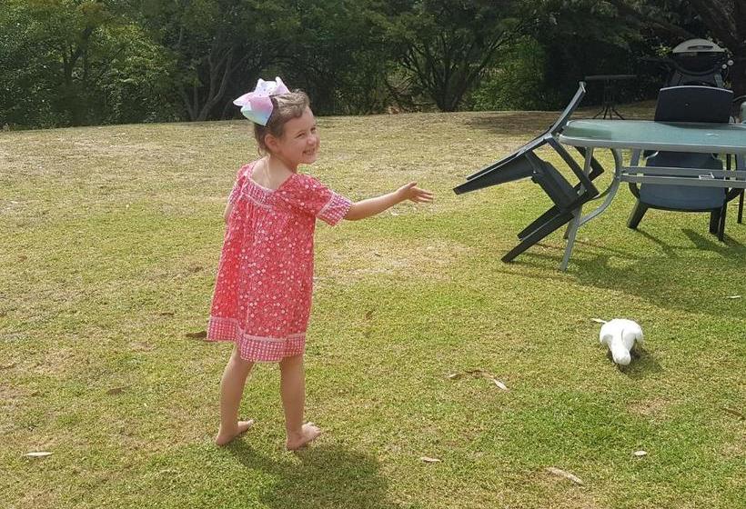 בית מלון כפרי Eildon Parkview Motor Inn