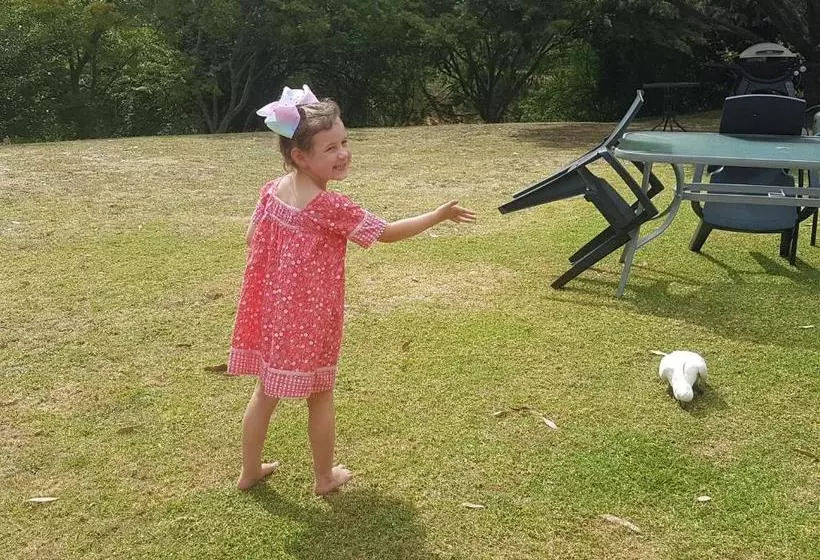 ホテル Eildon Parkview Motor Inn