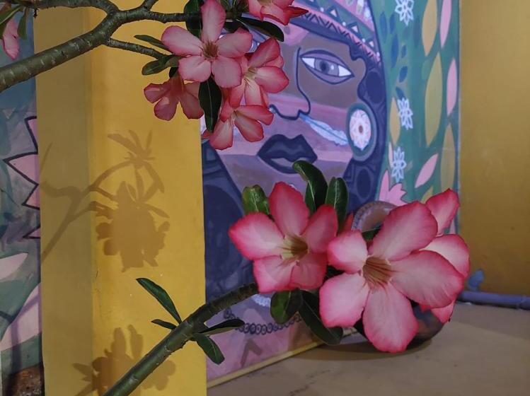 בית מלון כפרי Pousada Sunset Boipeba