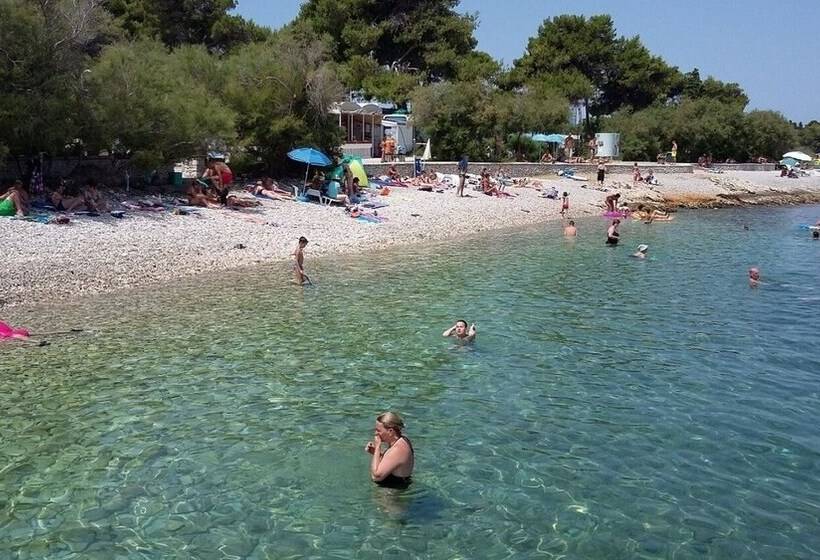 Apartments Adel 70 M From Beach