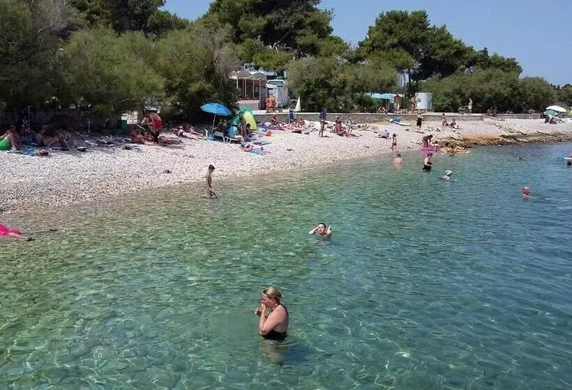 Apartments Adel   70 M From Beach