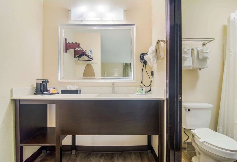 Отель Quality Inn & Suites