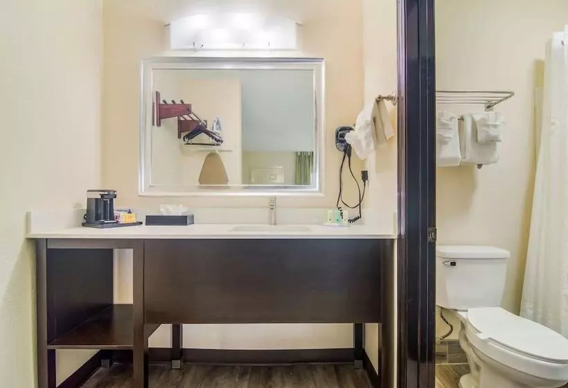 ホテル Quality Inn & Suites