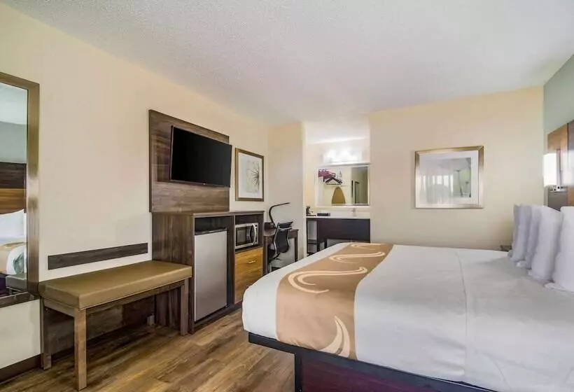 ホテル Quality Inn & Suites