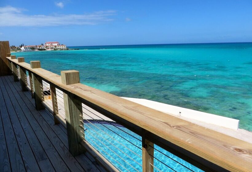 هاستل Bahasea Backpackers