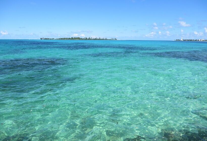 هاستل Bahasea Backpackers