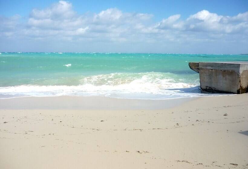 هاستل Bahasea Backpackers