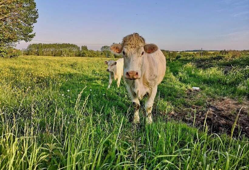 مبيت وإفطار L'etap'corteline
