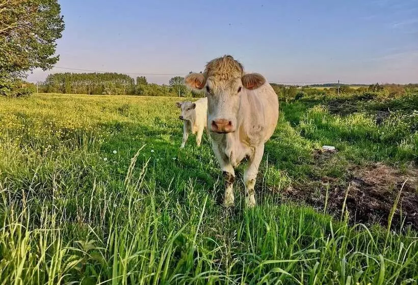 Aamiaismajoitus (B&B) L'etap'corteline