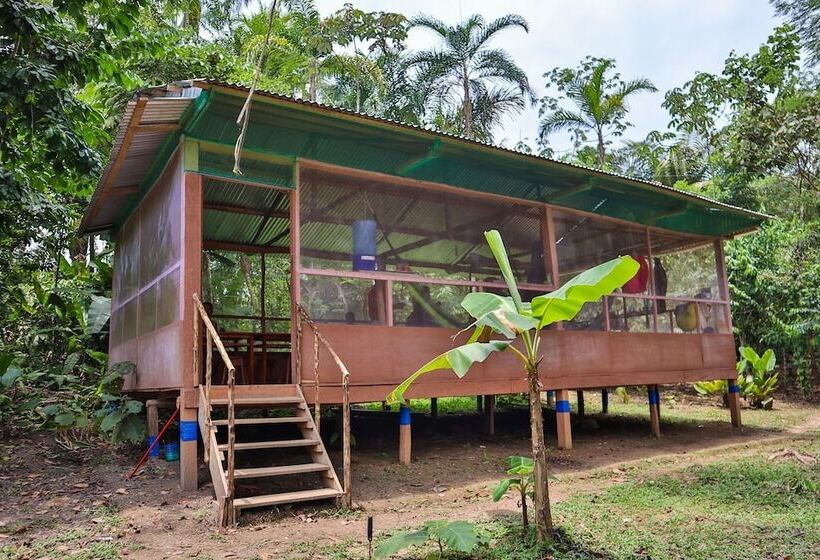 هتل Amazon Canopy Expeditions Ecolodge