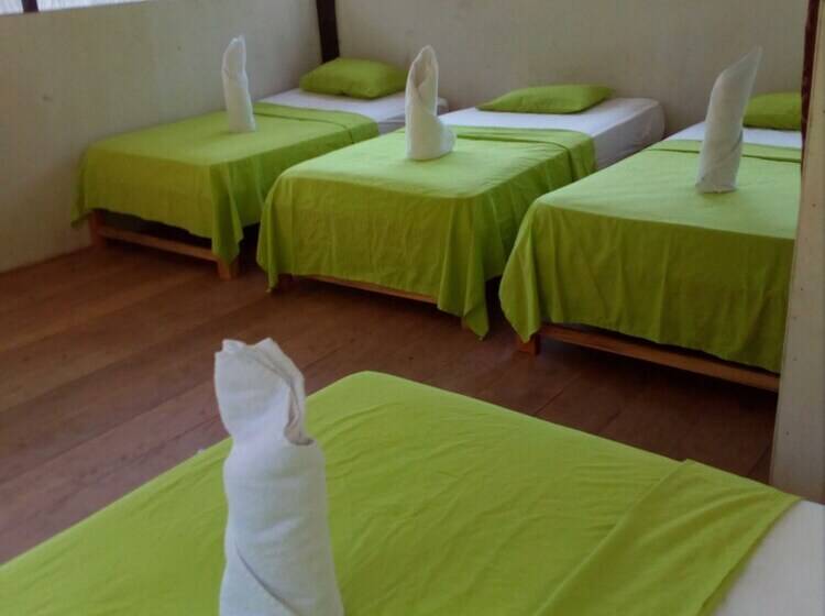 هتل Amazon Canopy Expeditions Ecolodge