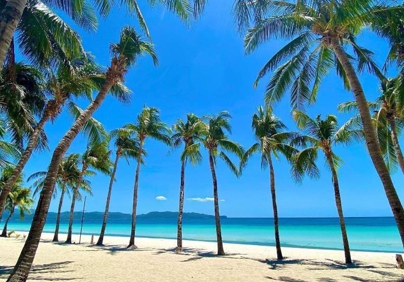 Hotel Rob And Fred S Resort