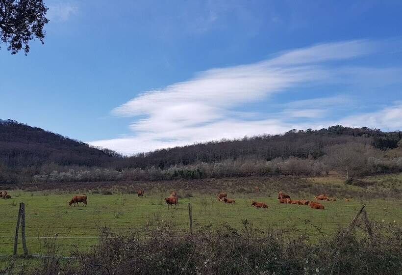 田舎風ホテル Agriturismo Bio Fattoria Di Pietra