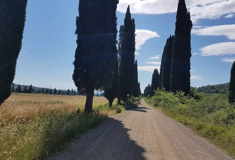 田舎風ホテル Agriturismo Bio Fattoria Di Pietra