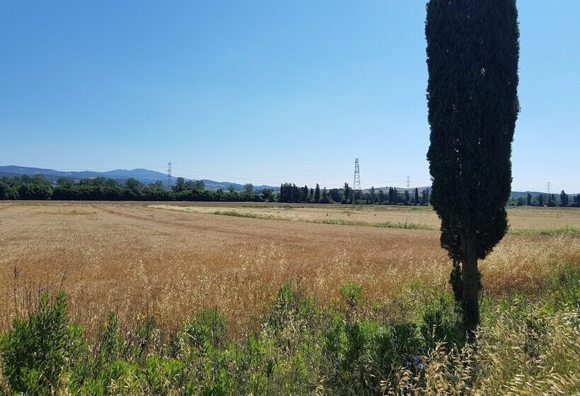 田舎風ホテル Agriturismo Bio Fattoria Di Pietra