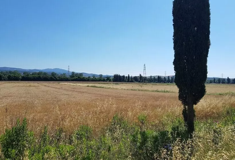 田舎風ホテル Agriturismo Bio Fattoria Di Pietra