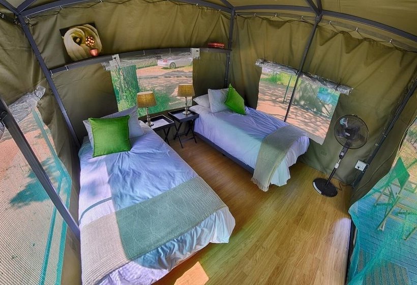 Hotel Tented Adventures Pretoriuskop Rest Camp