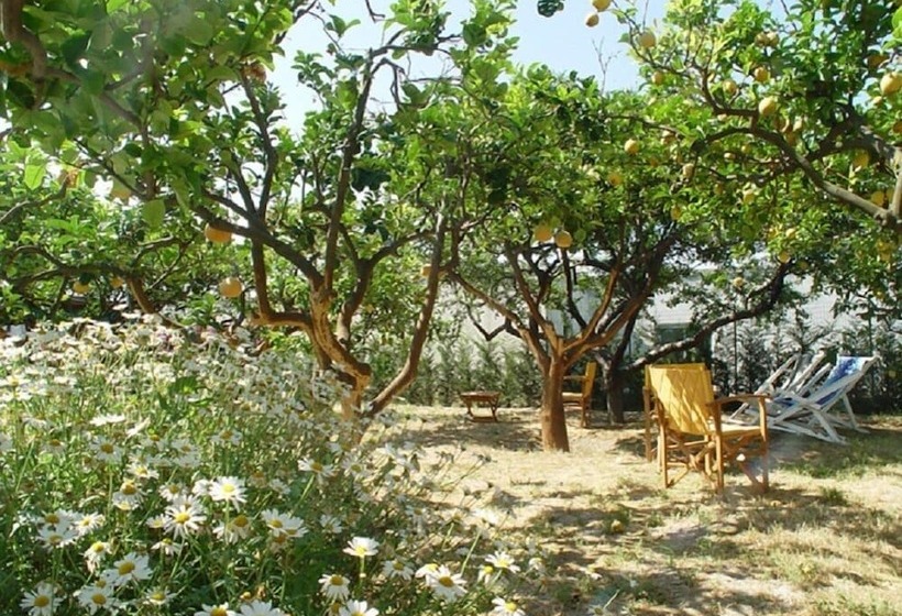 Отель Villa Tre Sorelle